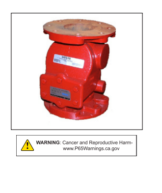 Viking Swing Check Valve (Models D-1 & G-1)